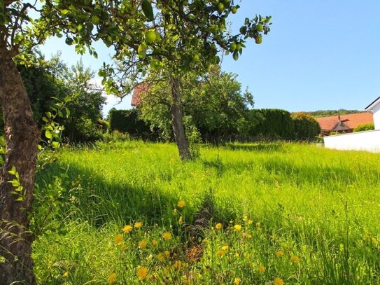 Baulücke in Gehlenbeck, Baugrundstück, Grundstück