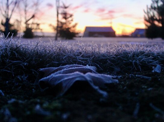 Natur pur und Stadtnähe perfekt vereint - Willkommen in Ihrem Traumhaus