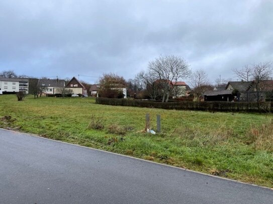 Bestpreisgarantie bei Bien-Zenker - Hier könnte Ihr Traumhaus entstehen