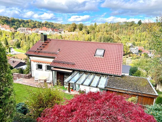 Einfamilienhaus mit großer Einliegerwohnung und Gartenanlage sowie unverbaubarer, naturnaher Randlage und atemberaubend…