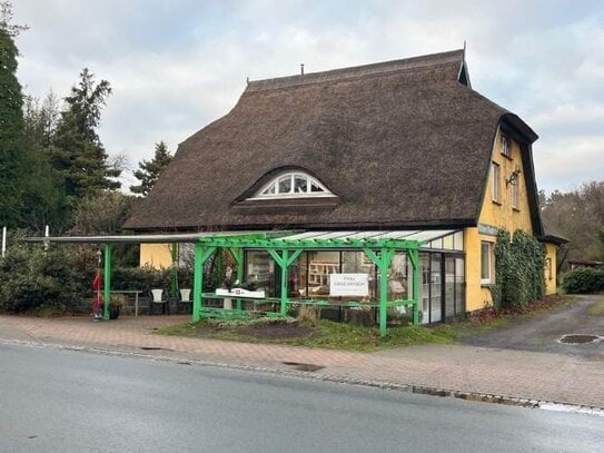 Reetgedecktes Landhaus in 18375 Ostseebad Prerow