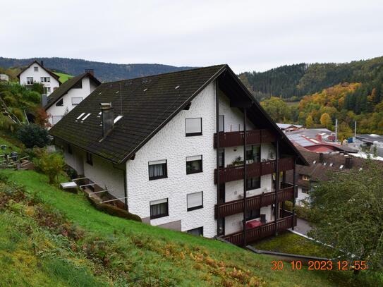 sehr schöne 2 Zimmer Wohnung