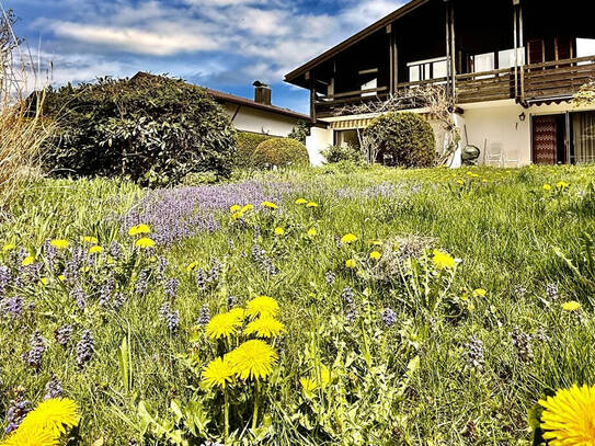 MONNIER IMMOBILIEN Aschau is A Schau - atemberaubender Berg- und Schlossblick