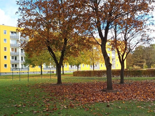 Sanierte 2-Raum Wohnung im Hochparterre!