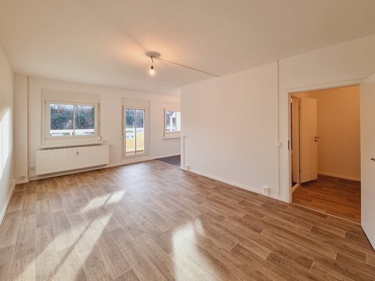 2025 - neues Jahr, neue Wohnung! Wir renovieren 3-Zimmer-Wohnung in Dresden!