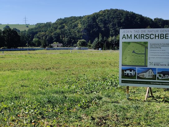 Baugrundstück in idyllischer Lage von Großweitzschen OT Westewitz