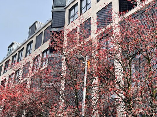 Helle 1-Zimmerwohnung mit S/O Balkon in zentraler TOP-Lage