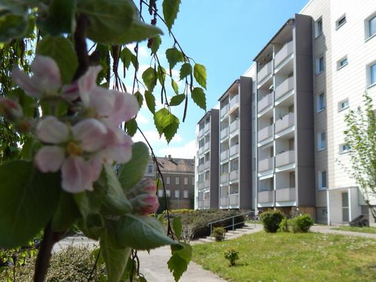 Top renovierte 3-Raum-Wohnung mit Balkon