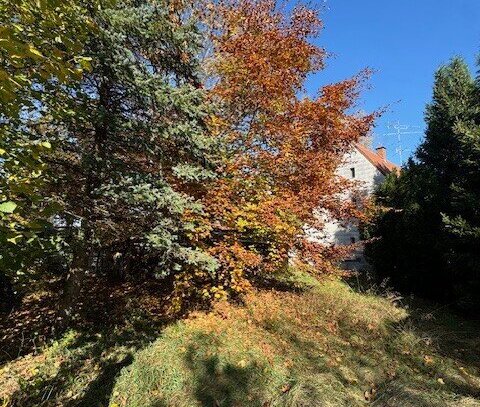 Brück Immobilien - Schöner ca. 600 m² großer Baugrund mit Altbestand in ruhiger Lage