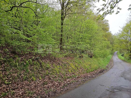 Baugrundstück mit Blick auf Windeck-Rosbach!