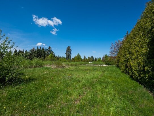 Baugrundstück in ruhiger Lage von Großschönau