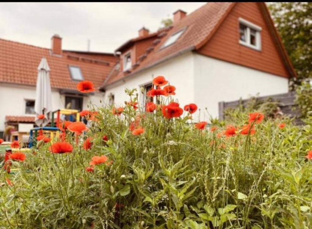                                                               Sch&ouml;nes, helles Einfamilienhaus mit Garten in zentraler Lage f&uuml;r eine kleine Fa&hellip;                                                       in Forstfeld (Kassel)