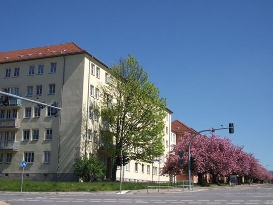 STUDENTEN !!!! 2-Raum Wohnung mit Laminat in Zentrumsnähe +++++ WG gerecht !!!! ++++++++++