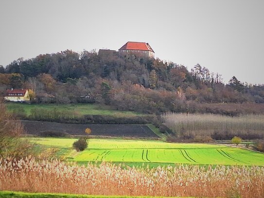 **** TOP Lage, 3-Zi Wohnung in Ipsheim, Sonnenterrasse u. Garten, EBK und 2 Stellplätze, provisionsfrei,