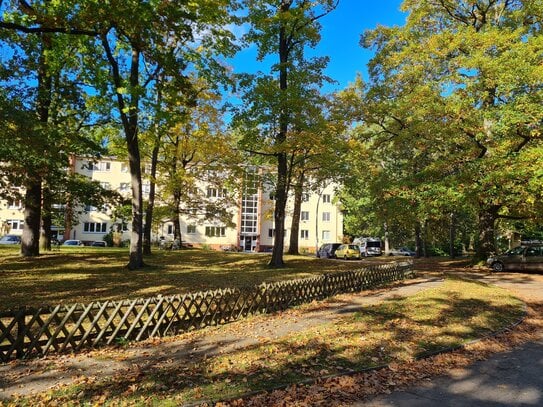 Mieten auf Zeit*2 Jahre: möblierte sanierte Wohnung direkt am Grunewald*großer Balkon*EBK*Wunderschöne Anlage