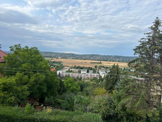 EFH mit Weitblick in Dresden-Cossebaude