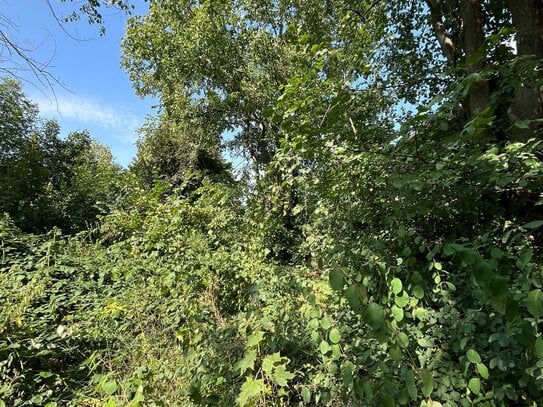 Baugrundstück mit top Infrastruktur und unverbaubarem Blick