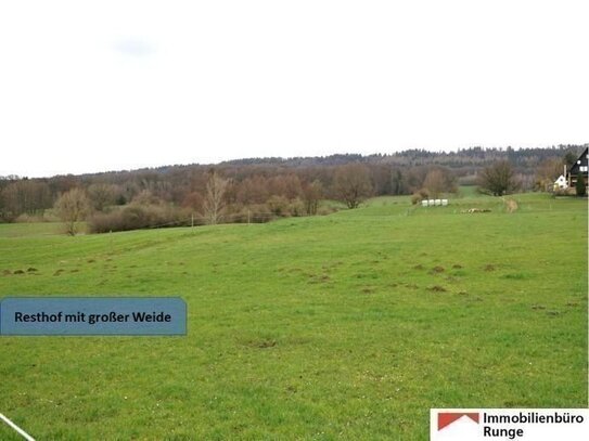 15.000m² großer Resthof mit Weide, Stallungen und Scheune im Auetal (Nähe Hannover)