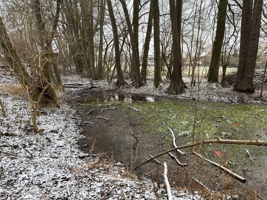 Großes Grundstück mit Bauernhaus, Teich und Baugrund - Perfekte Möglichkeit für Neubau!