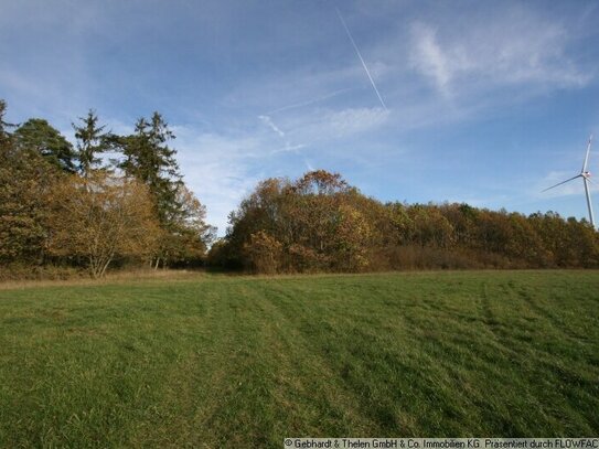 Waldgrundstücke in 98660 St. Bernhard