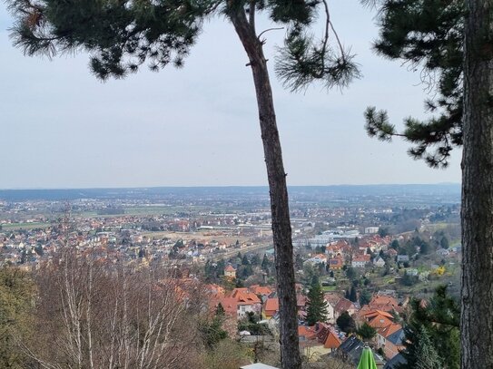 Modernisieren, Neu bauen oder Beides