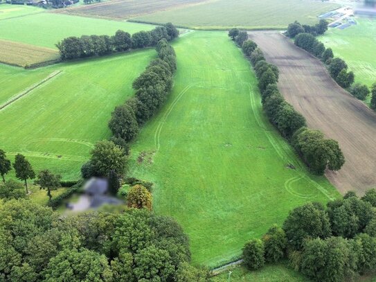 Grünlandfläche in Nordhorn "Döppersweg"