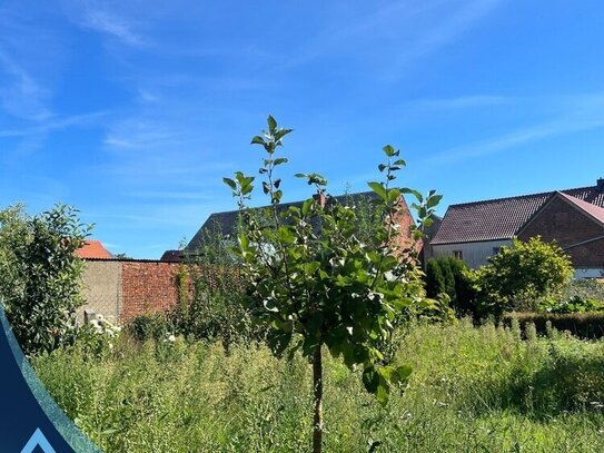 Großes Potenzial in Wollenhagen Altmark: Charmantes Haus mit neuem Bad auf großem Grundstück