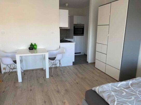 Schönes frisch renoviertes Apartment mit Wintergarten in Ludwigshafen