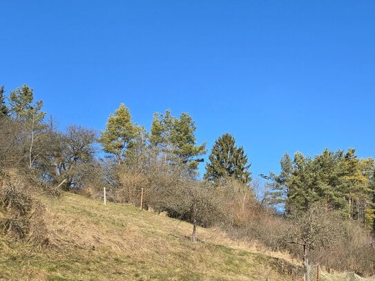 Sonne den ganzen Tag: Baugrundstück in Südost-Hanglage - unverbaubar