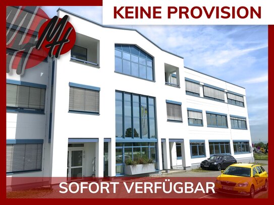 KEINE PROVISION - KLIMA - Moderne Büroflächen (350 m²) zu vermieten