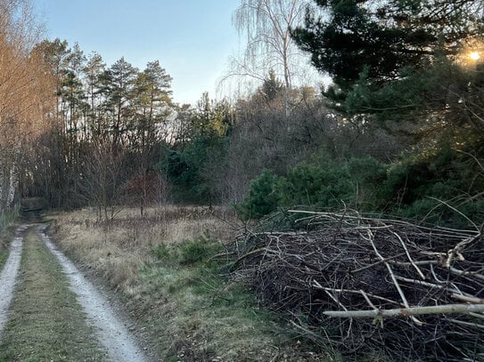 Exklusive Grundstücke mit Entwicklungspotenzial in Bad Belzig zum Kauf