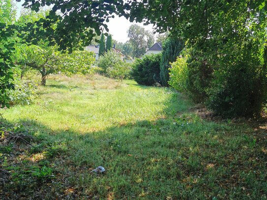 Baugrundstück im Villenviertel nahe der Stadtgrenze von Leipzig