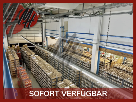 SCHNELL VERFÜGBAR - Lager (750 m²) & Büro (150 m²) zu vermieten