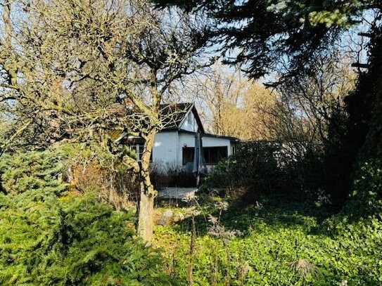 Schönes Baugrundstück in ruhiger grüner Lage in Kaulsdorf-Nord