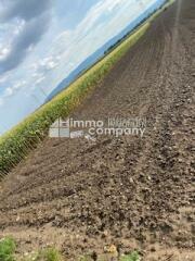 Verschiedene landwirtschaftliche Flächen nähe Stockerau