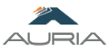 Auria Solutions GmbH