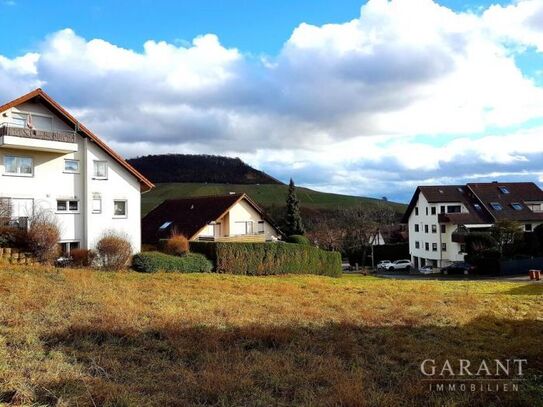 2 Zimmer-Erdgeschoss-Wohnung mit Garten