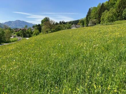 Hübsche Aussicht auf die Berge des Almtals in Randlage einer kleinen Siedlung von 4 Häusern !