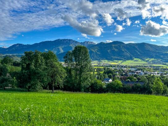 Kremstal: Kleinod in End-, Ruhe- & Südhang-Lage!