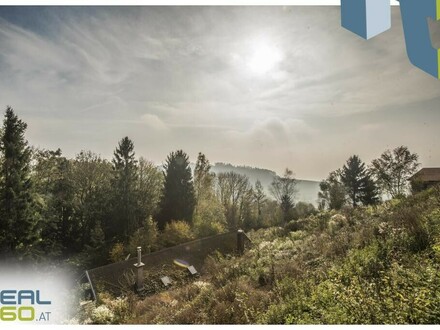 Grundstück mit Donau- und Alpenblick in der Koglerau! Auch für Bauträgerprojekte möglich...