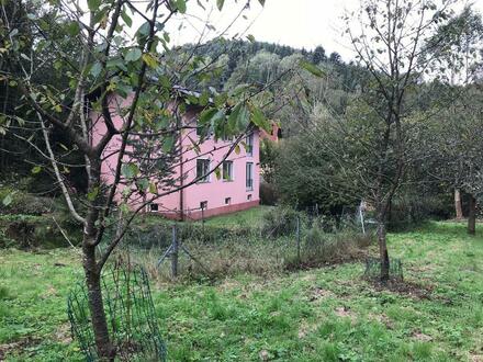 Grundstück mit Wohnhaus in Edlitz zu Verkaufen