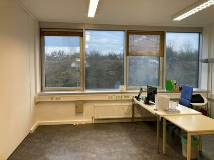 Repräsentative, praktische u. preisgünstige Praxis-/Ordinations-/Atelier-/Bürofläche mit XL-Fenstern, direkt neben dem…