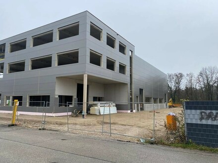 Neubauhalle und Büro-superhochwertig- nahe Trauner Kreuzung --- ab 600 m2 !!!