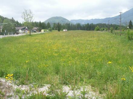 Gewerbegrundstück im Mariazellerland