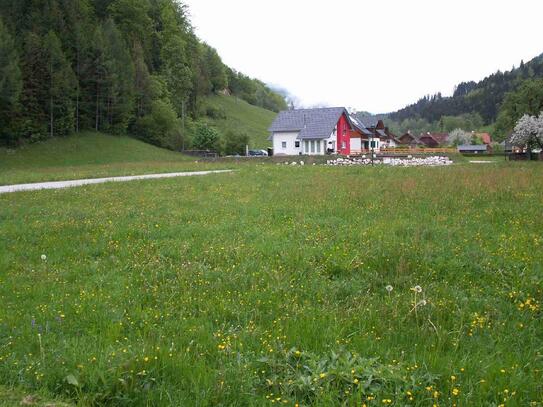 Baugrundstücke in der Rosenau am Hengstpass