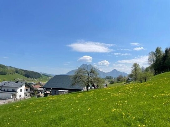 Bauträgerobjekt - Verdichteter Wohnbau möglich