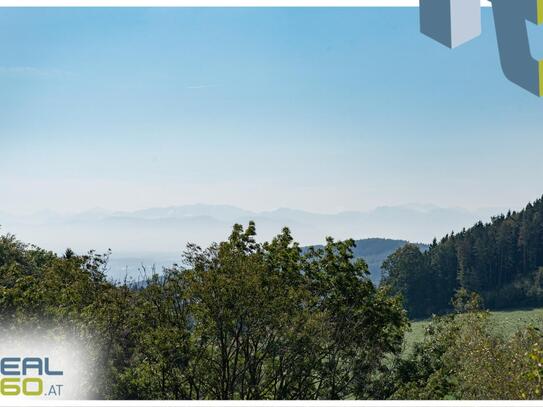 Idyllisches Grundstück in Hanglage mit toller Aussicht (nur 10min nach Linz)