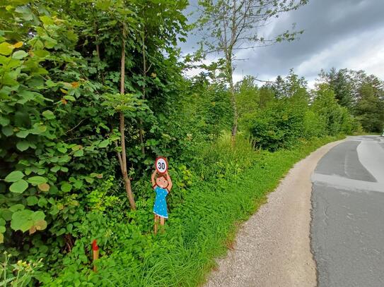 BAURECHT Großzügige Baulandfläche in Faistenau, Hintersee!