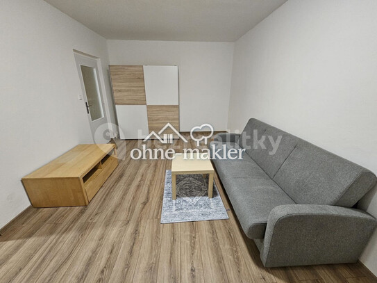 Pronájem bytu 1+1 38 m²