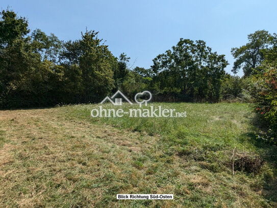 Schönes großes Grundstück in ruhiger Lage von Worms-Hochheim